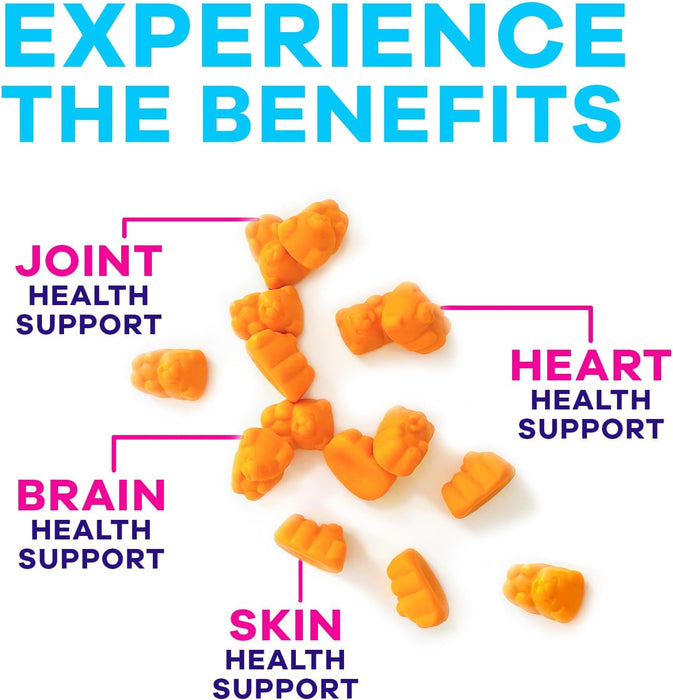 Turmeric Supplement Gummies Sugar Free - Turmeric Curcumin and Ginger Gummies with Black Pepper Extract for High Absorption, Curcumin Gummy for Joint Support, Non-GMO, Gluten Free