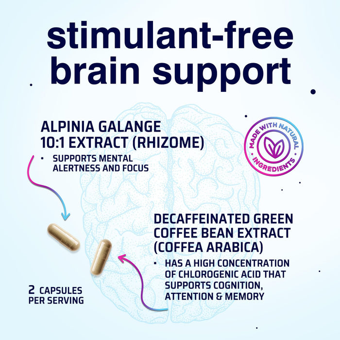 Brain Memory – 240 Capsules