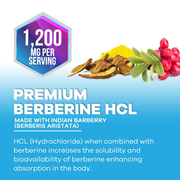 Berberine HCL 1200mg Supplement - Berberine HCI Capsules High Absorption Supplement for Heart Health & Immune Support, High Strength, Gluten-Free, Vegan, Non-GMO Pills - 120 Veggie Capsules