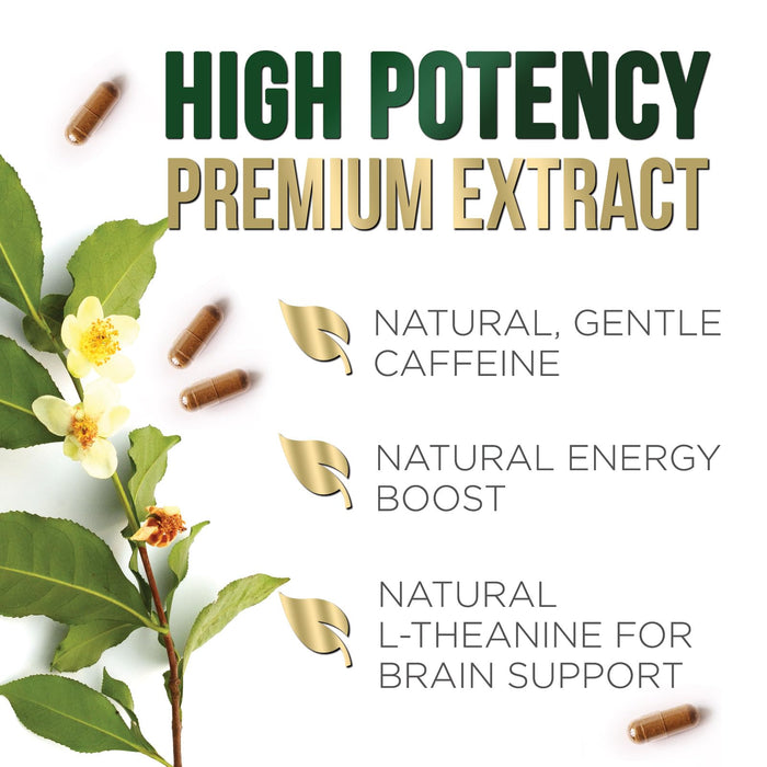 Green Tea Extract Capsules with EGCG – 1000mg – 120 Capsules