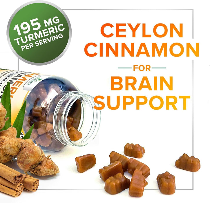 Turmeric Curcumin with Cinnamon & Ginger Gummies 95% Curcuminoids Black Pepper for Max Absorption Joint Support, Nature's Tumeric Herbal Extract Supplement Gummy Capsules, Vegan, Non-GMO - 60 Gummies