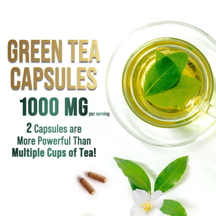 Green Tea Extract Capsules with EGCG – 1000mg – 60 Capsules
