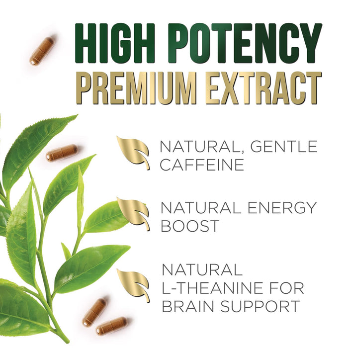 Green Tea Extract Capsules with EGCG – 1000mg – 120 Capsules