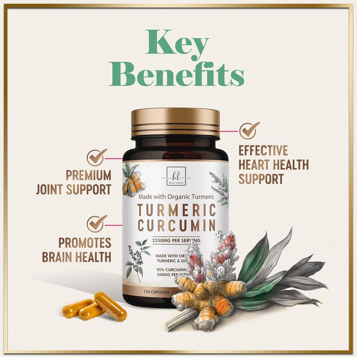 Turmeric Curcumin Supplement with 95% Curcuminoids, Organic Turmeric & Ginger 1750mg, BioPerine Black Pepper for Best Absorption, Nature's Vegan Joint Support, Non-GMO, Bottled in USA