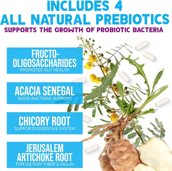 Probiotics for Women & Men 100 Billion CFU - 10 Strains with Lactobacillus, Digestive Gut Health Probiotics & Immune Support Supplement, Supports Occasional Constipation, Gas & Bloating - 60 Capsules