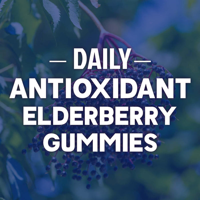 Immune Support Gummies – 60 Gummies