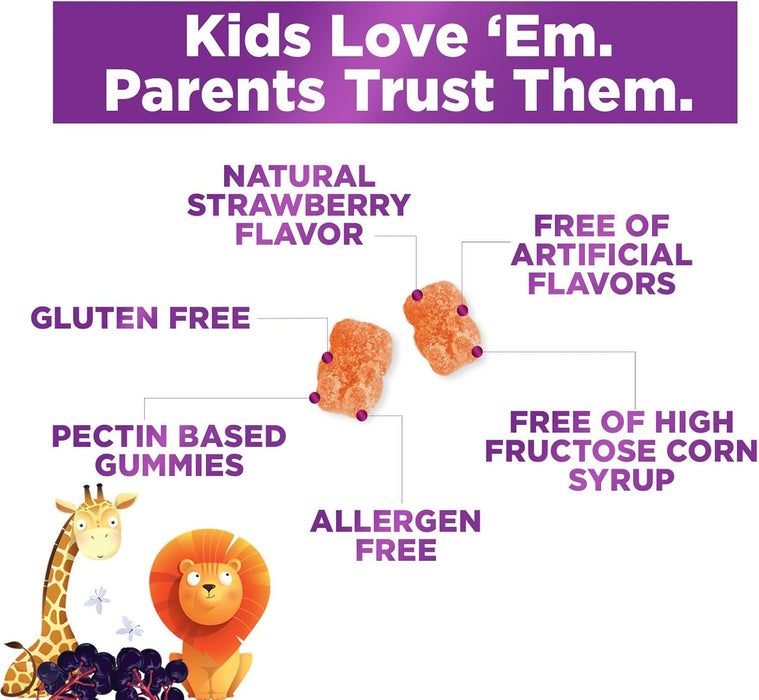Kids Immune Support Gummies with Vitamin C, Zinc & Echinacea, Gluten Free & Non-GMO Chewable Immune Support for Kids Gummy, Daily Childrens Immune Support Vitamins, Vegan, Berry Flavor - 90 Gummies