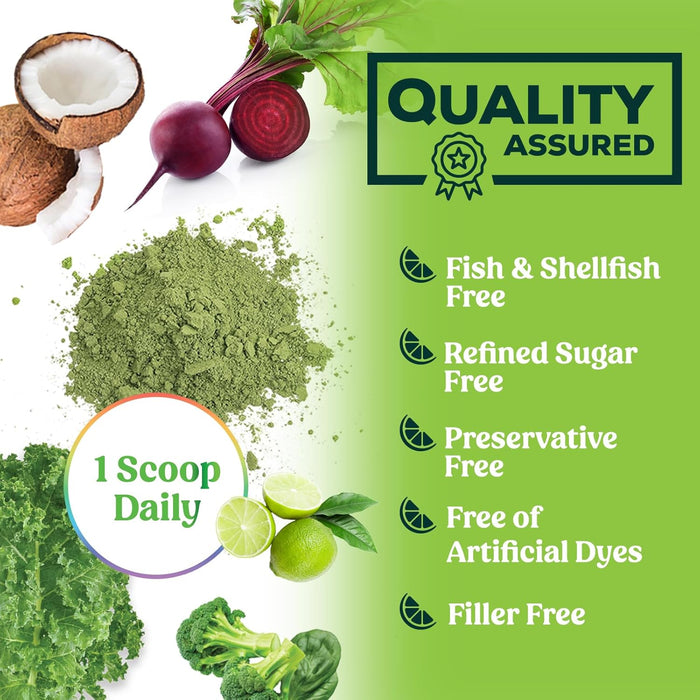 Greens Superfood Powder - Original Organic Super Greens Juice Powder - Packed with Probiotics, Wheat Grass, Enzymes, Spirulina, Chlorella for Digestive & Gut Health, Smoothie Drink Mix - 28 Servings