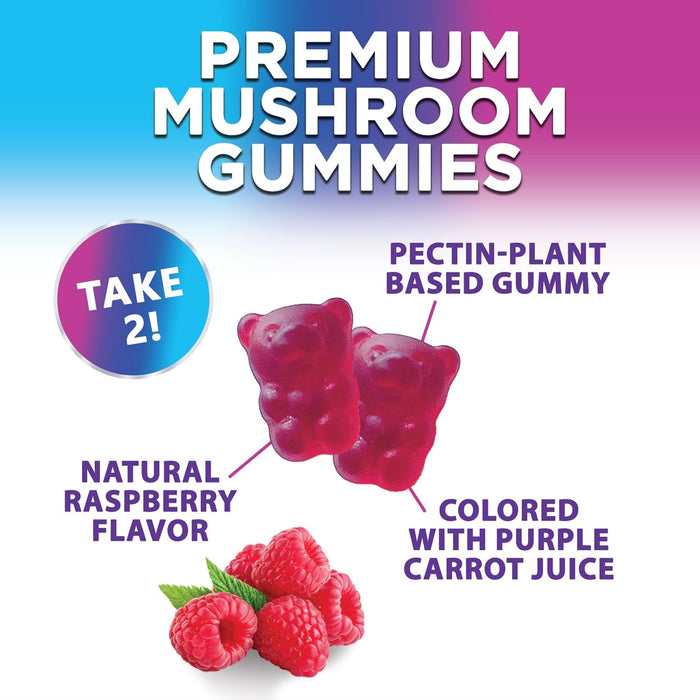 Mushroom Supplement Gummy - 12 in 1 Mushroom Complex with Lions Mane, Reishi, Cordyceps, Chaga & Turkey Tail, Immune Support & Nootropic Supplements for Memory, Brain, Energy & Focus