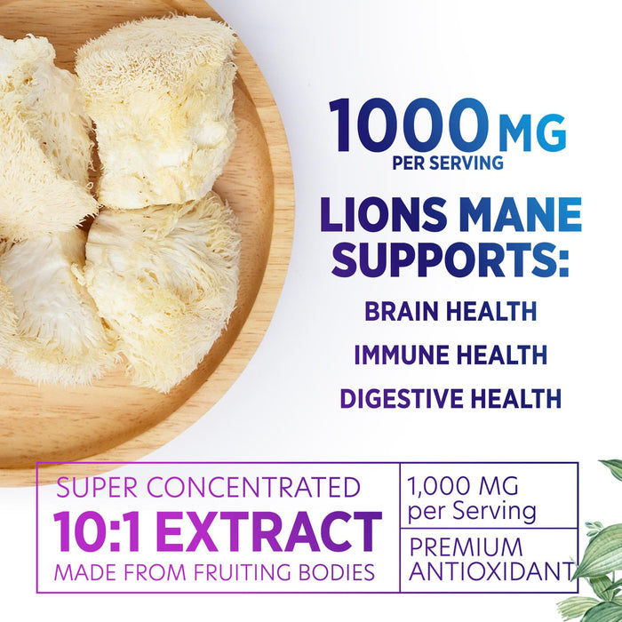 Lions Mane Mushroom – 60 Capsules