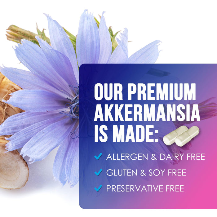 Akkermansia Probiotic – 60 Capsules