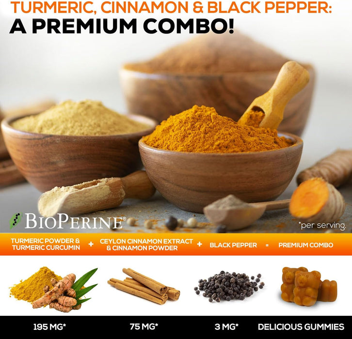 Turmeric Curcumin with Cinnamon & Ginger Gummies 95% Curcuminoids Black Pepper for Max Absorption Joint Support, Nature's Tumeric Herbal Extract Supplement Gummy Capsules, Vegan, Non-GMO - 60 Gummies