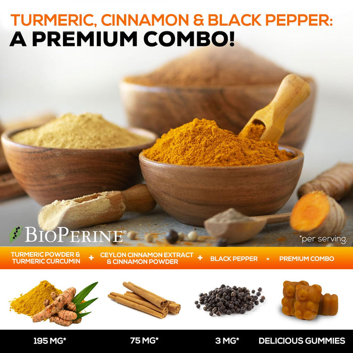 Turmeric Curcumin Gummies with Ginger & Cinnamon – 60 Gummies