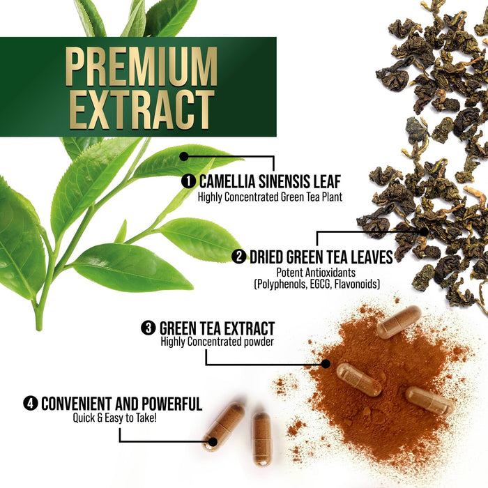 Green Tea Extract Capsules with EGCG – 1000mg – 240 Capsules