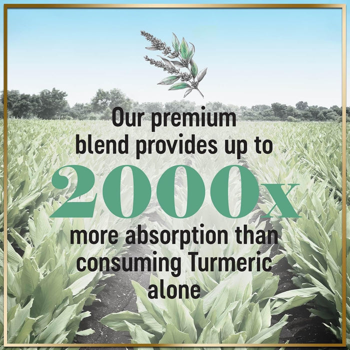 Turmeric Curcumin Supplement with 95% Curcuminoids, Organic Turmeric & Ginger 1750mg, BioPerine Black Pepper for Best Absorption, Nature's Vegan Joint Support, Non-GMO, Bottled in USA