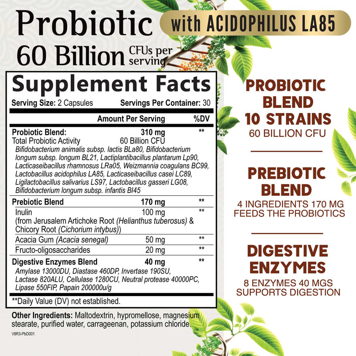 Probiotic for Digestive Health - 60 Billion CFU Daily Probiotics & Prebiotics Supplement with Acidophilus - Immune Support for Women & Men - Shelf Stable, Soy, Dairy & Gluten Free - 60 Capsules