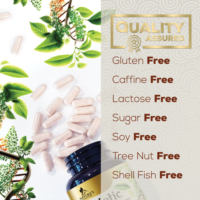 Probiotic for Digestive Health - 60 Billion CFU Daily Probiotics & Prebiotics Supplement with Acidophilus - Immune Support for Women & Men - Shelf Stable, Soy, Dairy & Gluten Free - 60 Capsules