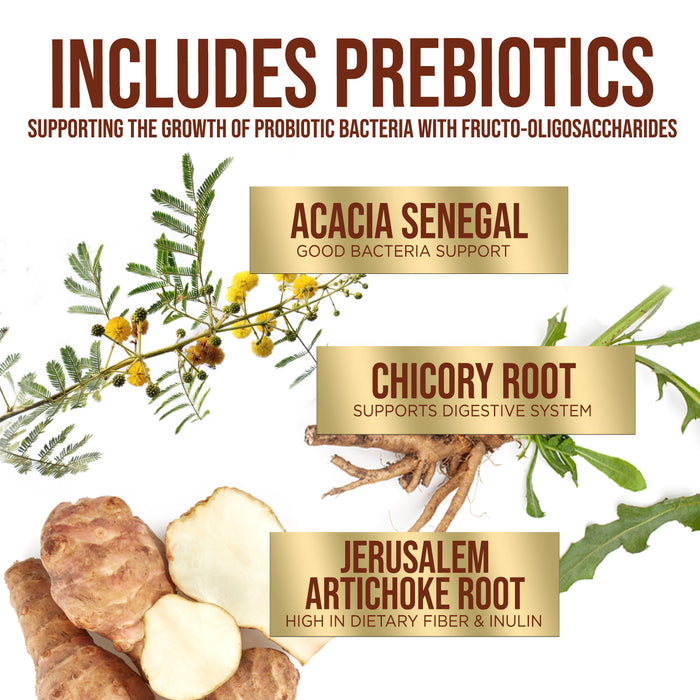 Probiotic for Digestive Health - 60 Billion CFU Daily Probiotics & Prebiotics Supplement with Acidophilus - Immune Support for Women & Men - Shelf Stable, Soy, Dairy & Gluten Free - 60 Capsules